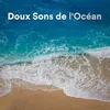 Bruit De La Mer Sons De La Mer