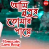About Ami Nupur Tomar Paye Song