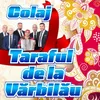 About Taraful de la Vărbilău Colaj Song