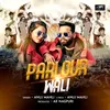 About Parlour Wali Song