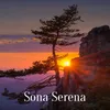About Sona Serena Song