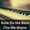 About Gule Da Sta Bara Che Ma Wajne Song