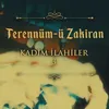 Uğradı Yolum Bir Mürğ-i Zâre