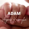 About Adam Song