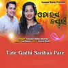 About Tate Gadhi Saribaa Pare Song