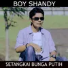 About Setangkai Bunga Putih Song