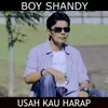 About Usah Kau Harap Song