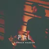 About Pal Song