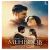 About Tu Mera Mehboob Hai Song