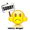 About Sorry Song