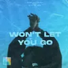 Won't Let You Go