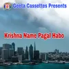 About Krishna Name Pagal Habo Song