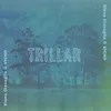 About Trillar Song