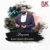 About Anam Qədrin Bilmədim Song