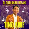About DI DUDI IKAU BELAKI Song