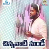 About Chinnanati Nundi Song