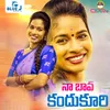 About Na Bava Kandukuri Song