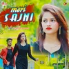 About Meri Sajni Song