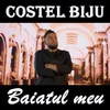 About Baiatul meu Song