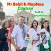 About Соколи Song