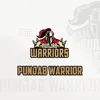 About Punjab Warriors Song