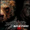 Bear Fight