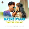 About Maine Pyar Tmhi Se Kiya Hai Song