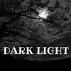 About DARK LIGHT Song