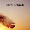 Estrés Relajado