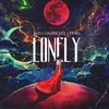 About Lonely Song