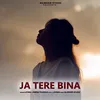 About Ja Tere Bina Song