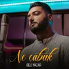 About Ne Çabuk Song