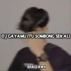About Dj Gayamu Itu Sombong Sekali Song