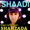 About SHAADI Song