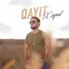 About Qayıt Song