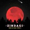 About Zindagi Song