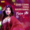 About Sohna O Sohna Tuhnja Nakhra Nawabi Song