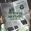 About Meses De Silêncio Song