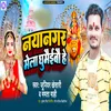 About Nayanagar Mela Ghumaieebo He Song