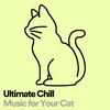 Ultimate Chill Music for Your Cat, Pt. 3