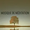 About Musique de Méditation Song