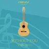 About Without You Song