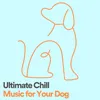 Ultimate Chill Music for Your Dog, Pt. 35