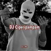 About DJ Ciperipampam Song