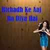 About Bichadh Ke Aaj Ro Diya Hai Song