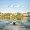 Relaxation Musique, pt. 12