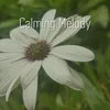 About Calming Melody Song