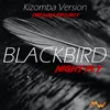 About Blackbird / Night Fly Song