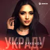 About Украду Song