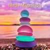 About Birds Migration Song